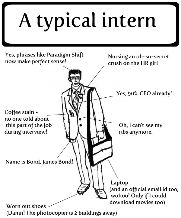 The-typical-intern