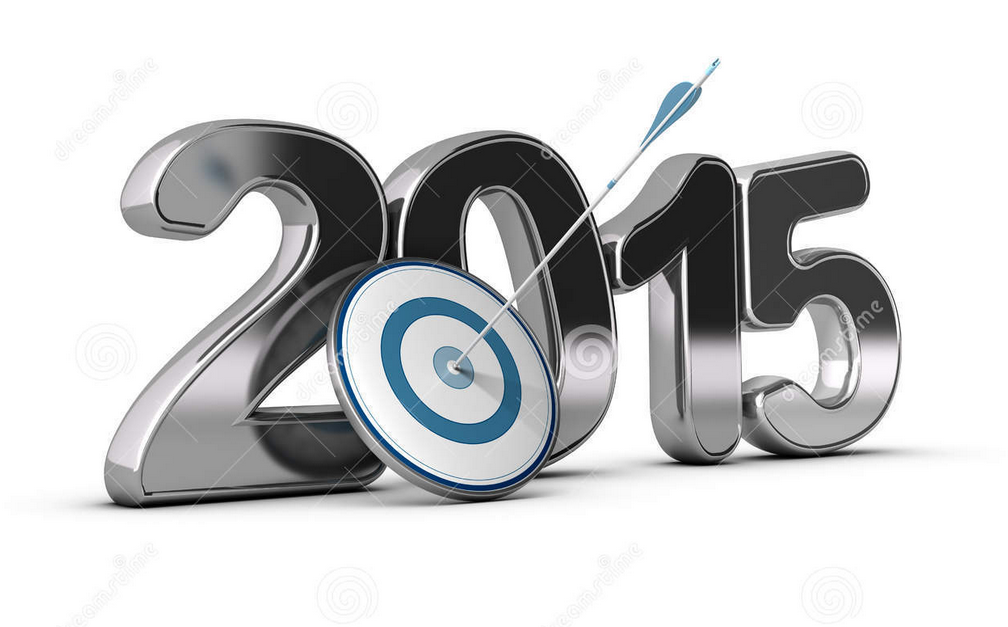 objectives-concept-d-metallic-year-target-foreground-arrow-hitting-center-image-_2015-01-04_22-53-31.JPG